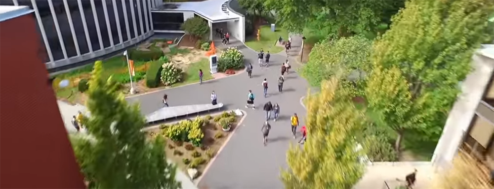 Overview of Adelphi University